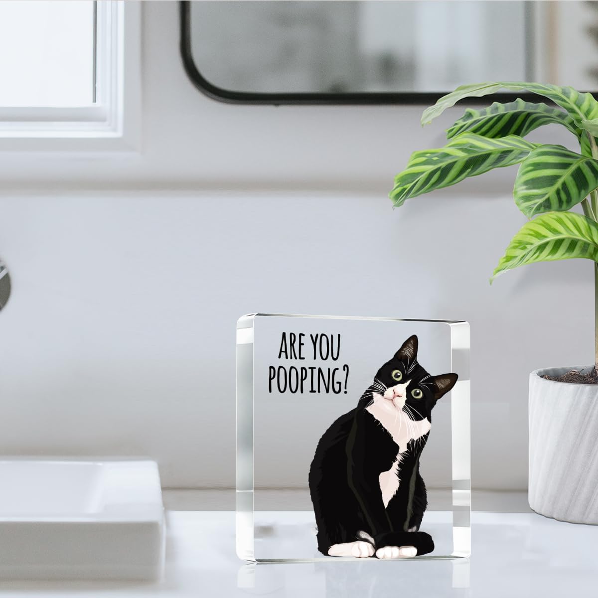 Are You Pooping Funny Sign,Black Cat Decor, Cat Bathroom Acrylic Decor,Home Decor Bathroom Creative Gift For Women Men,Funny Decorate Retro for Home Toilet
