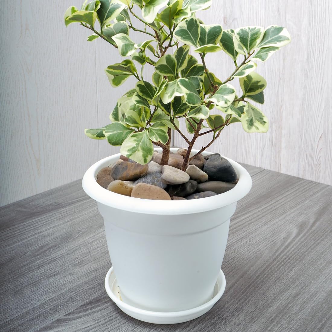 10lbs Aquarium Rocks, 5/8" Natural River Rocks for Plants Decorative Polished Mixed Pebbles for Fish Tank, Landscaping, Gardening, Flower Pots, Vase Fillers, Indoor Water Fountains