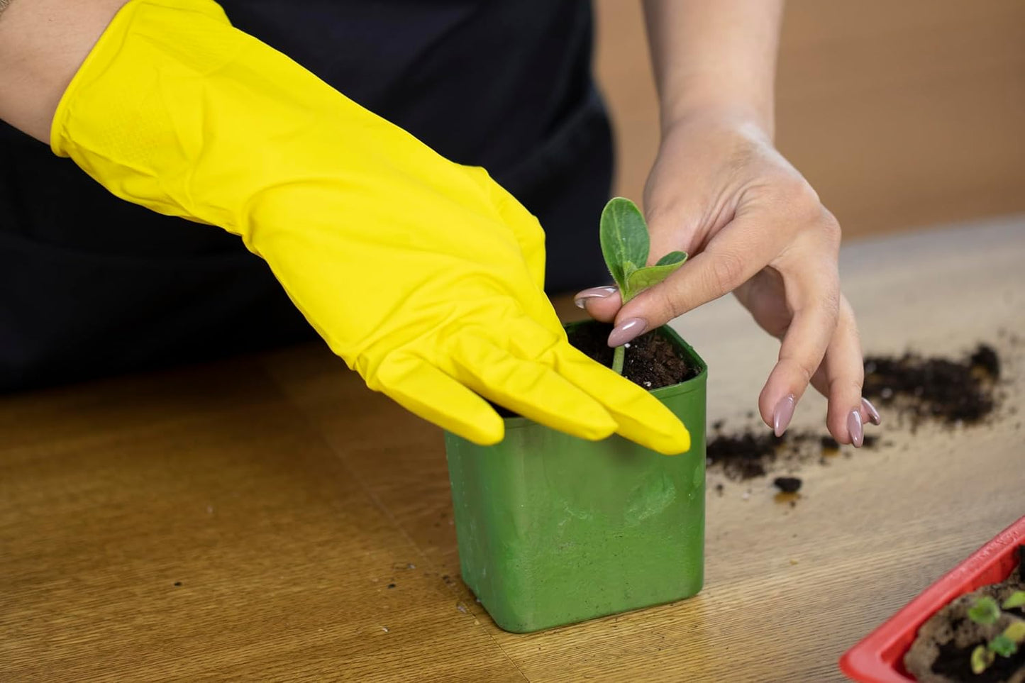 Organic Worm Castings Premium Worm Castings Fertilizer for Nutrient-Rich Soil and Healthy Growth (1 Quart)