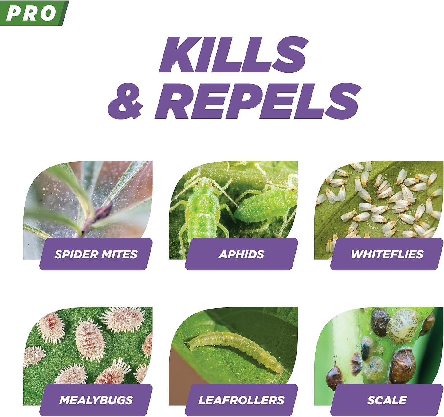 Earth's Ally Pro 3-in-1 Plant Spray 2.5 gal Super Concentrate | Insecticide, Fungicide & Spider Mite Control, Use on Indoor Houseplants and Outdoor Plants, Gardens & Trees - Insect & Pest Repellent