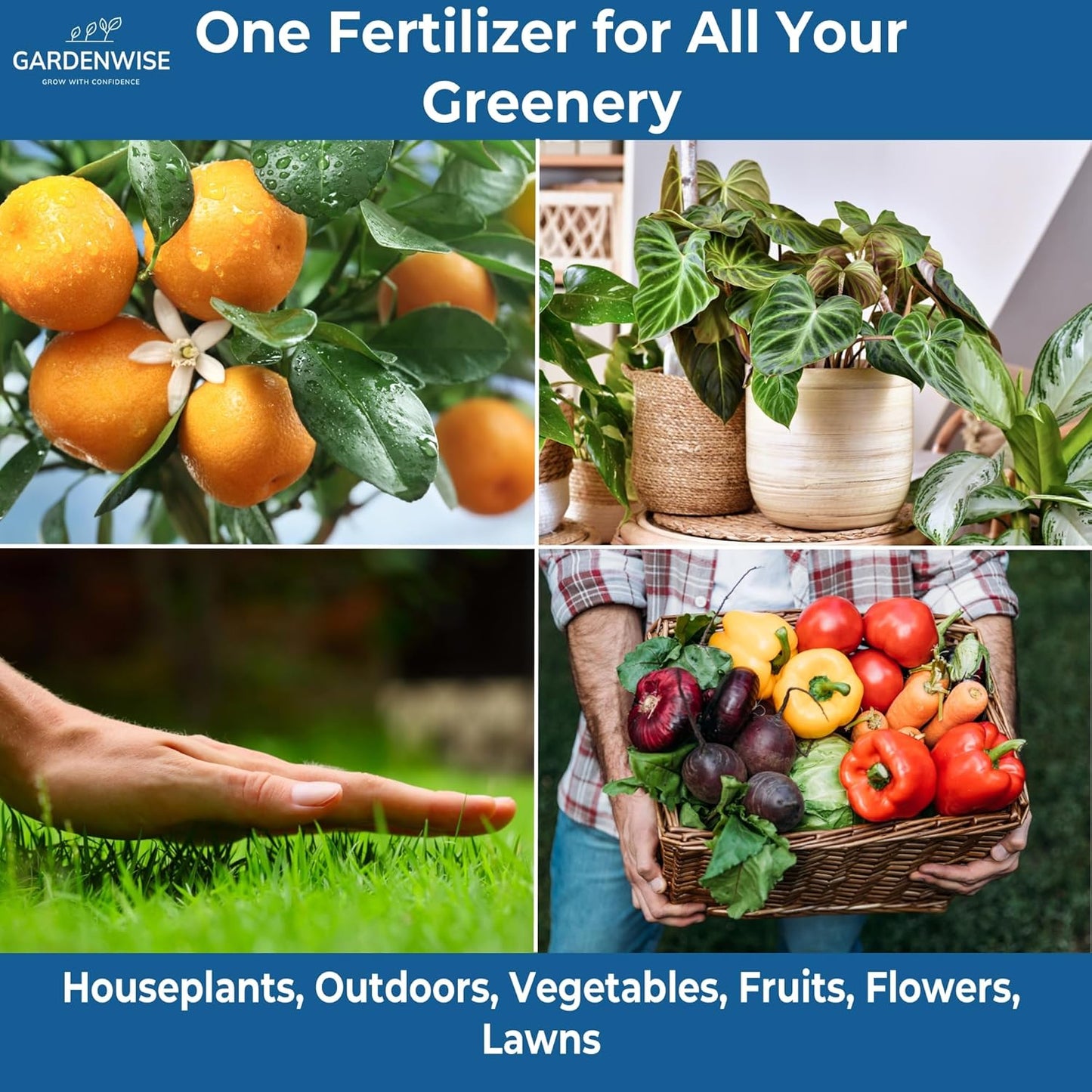 20-20-20 Water-Soluble Fertilizer – Powder for Liquid Plant Food for Indoor & Outdoor Plants, Orchids, Vegetables, Lawns, Flowers – 20 20 20 Fertilizer 3 Quarts (6 lbs)