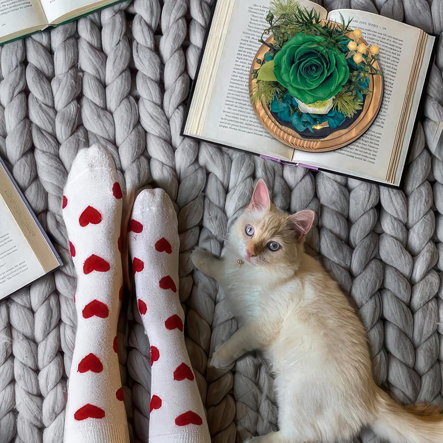 Flowers Gift โ Preserved Roses Fresh Bouquet, Forever-Lasting Flowers for Delivery โ Ideal Birthday Gift for Women, Valentineโs Day, Motherโs Day & Christmas