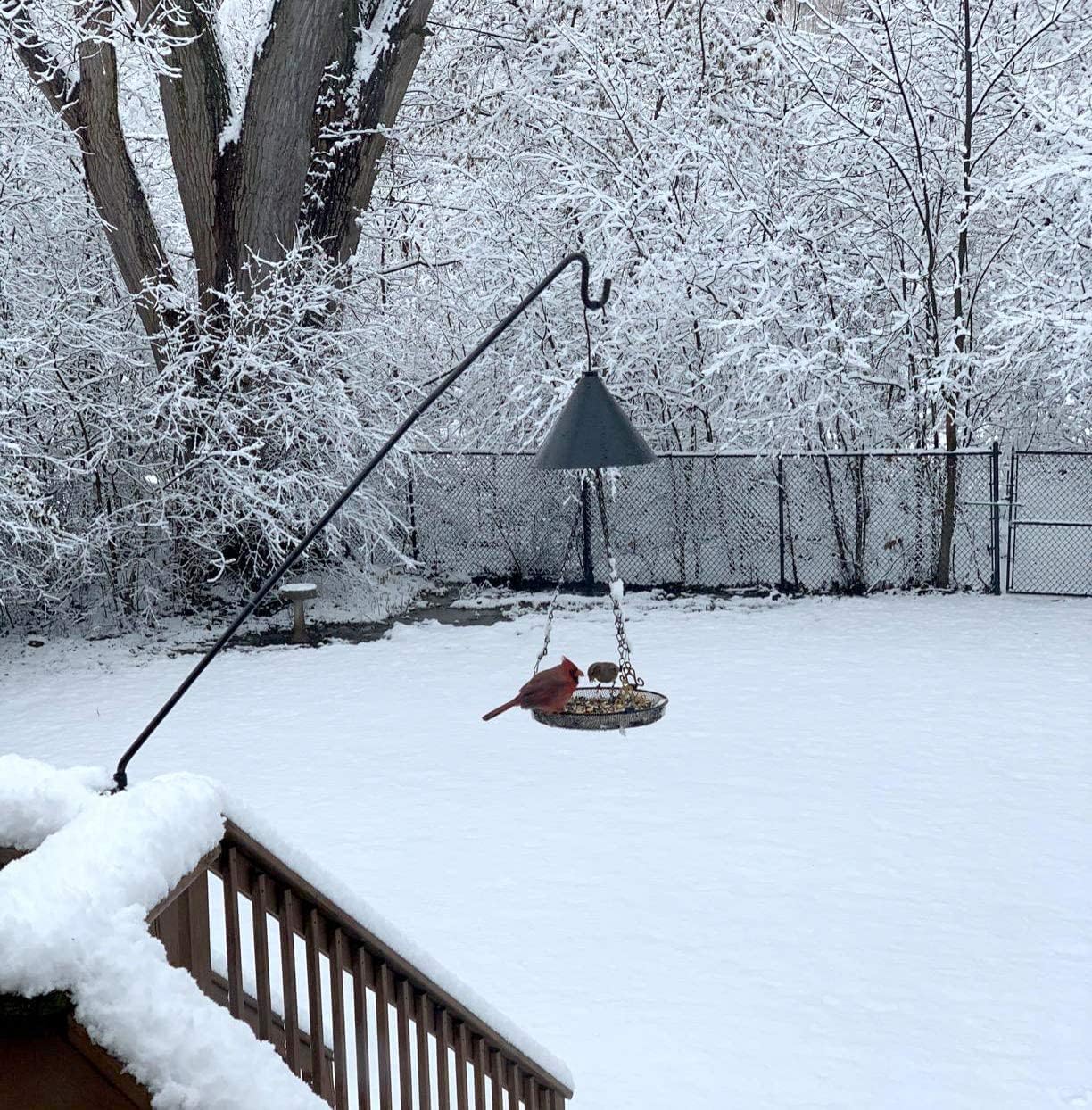 MIXXIDEA Heavy Duty Extensible Deck Hook - Adjustable for Hanging Bird Feeders, Plants, Wind Chimes, Lanterns