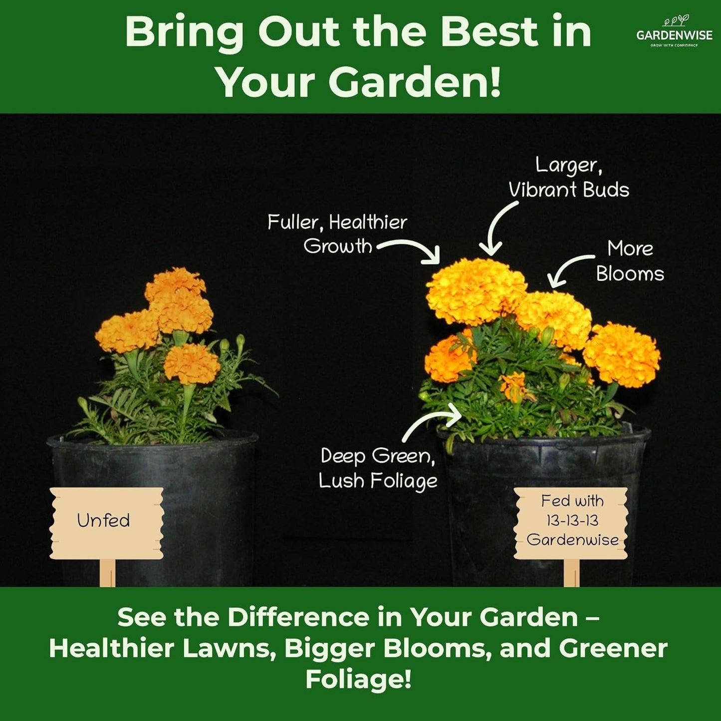 13-13-13 Slow Release Granular Fertilizer ā All Purpose Plant Food 13 13 13 for Outdoor Grass, Vegetables, Roses, Flowers, Shrubs, Trees. Lawns, Gardens, Potted Plants (3 quarts)