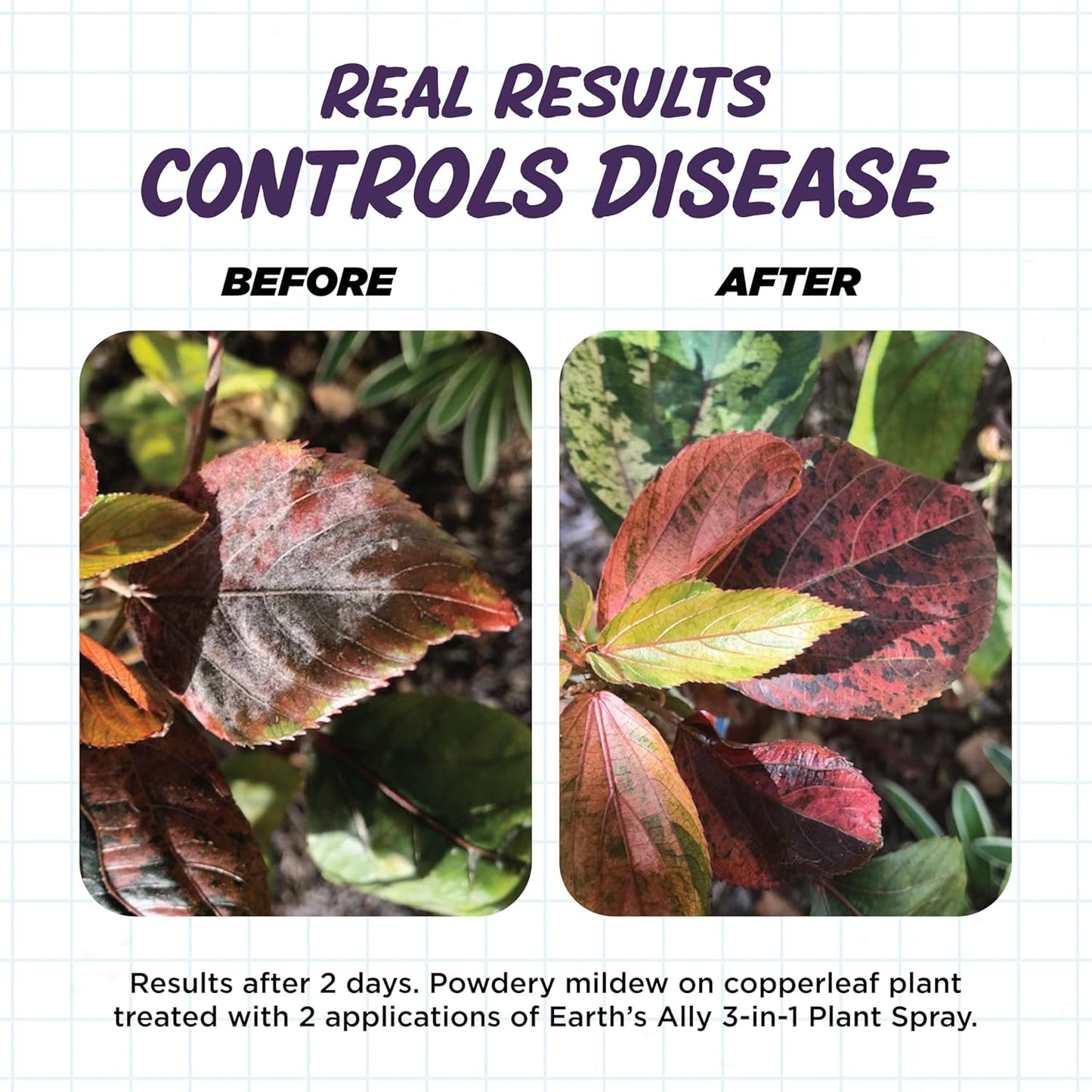 Earth's Ally 3-in-1 Plant Spray 32 oz Conc. Makes 4 gal | Insecticide, Fungicide & Spider Mite Control for Organic Gardening