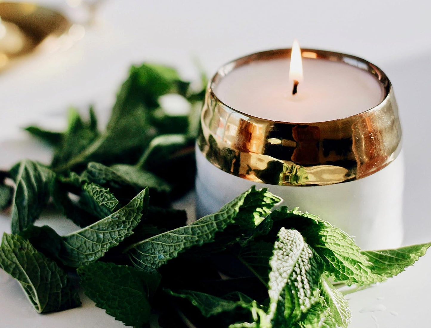 The Growing Candle, Sandalwood & Vanilla Scented, 10oz Ceramic Pot, Aromatherapy Candles for Home, 100% Soy, Clara