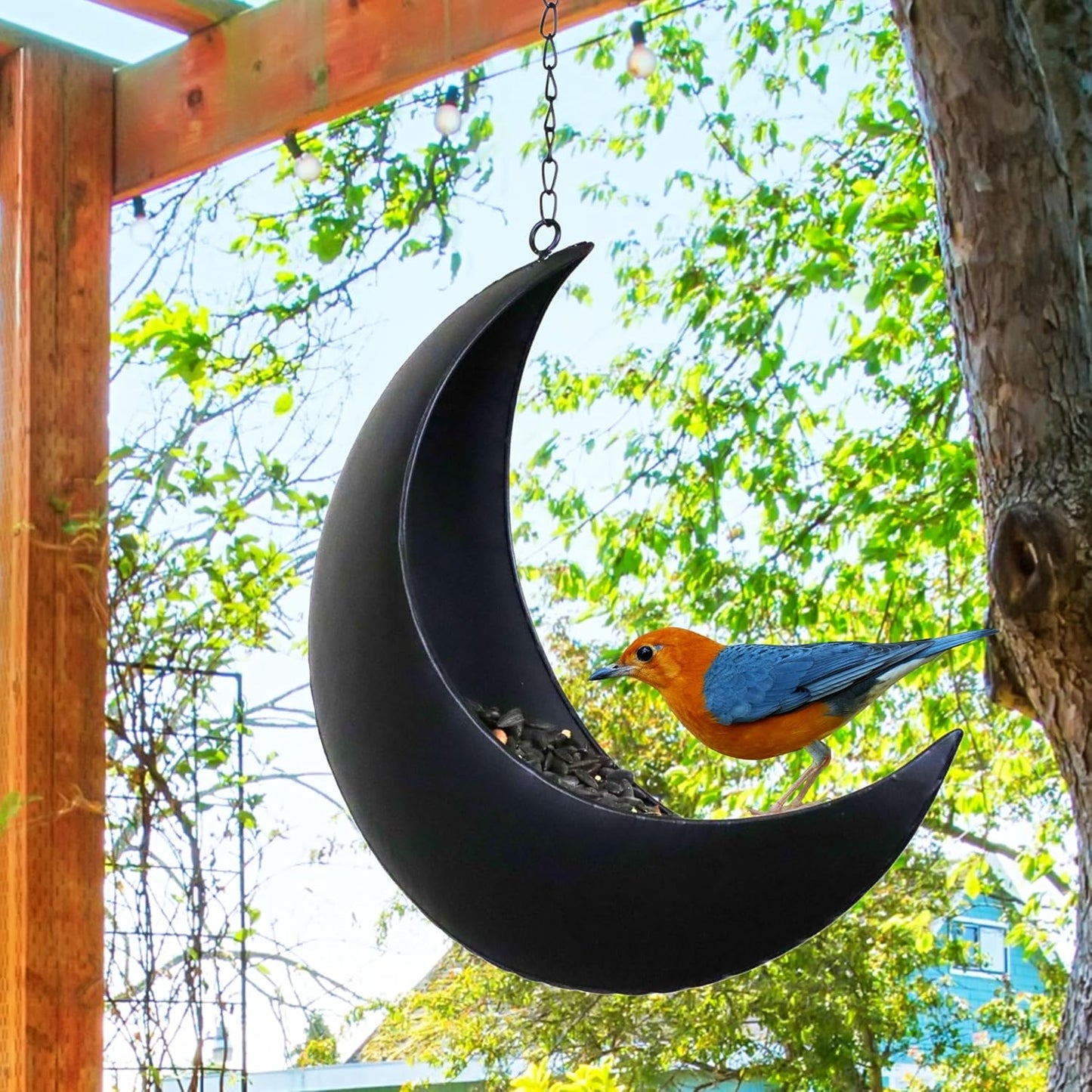 Hanging Moon Bird Feeder – Unique Metal Bird Feeders for Outdoors, Black Rust-Resistant, Drain Holes – Wild Bird Feeder for Bluebirds, Cardinals, Finches, and Backyard Birdwatching (Black)