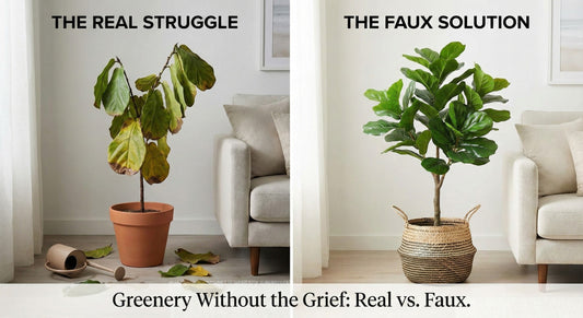 Why Your Fiddle Leaf Fig is Dropping Leaves & The Stress-Free Alternative | Bloom Cove