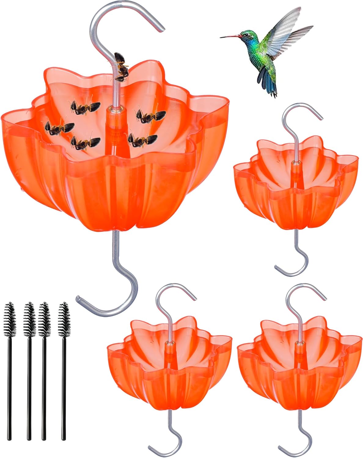 Backyard Birding & Wildlife