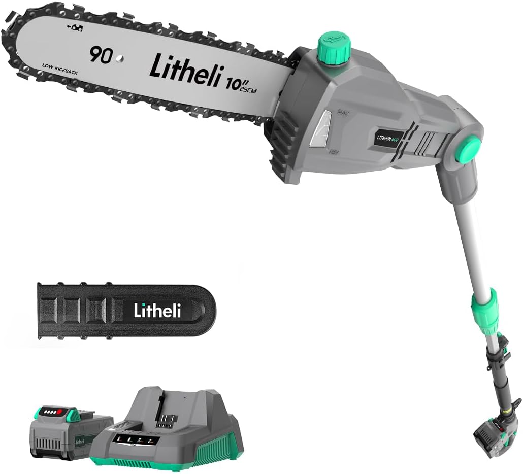 Litheli Cordless Pole Saw,10-Inch 40V Pole Saws for Tree Trimming, Electric Tree Saw for Branch Cutting, Pruning, 2.5Ah Battery& Charger Included