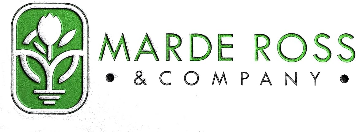 1000 Cosmos Candystripe Seeds - Long Blooming Period in All Zones - 4-5' Tall…