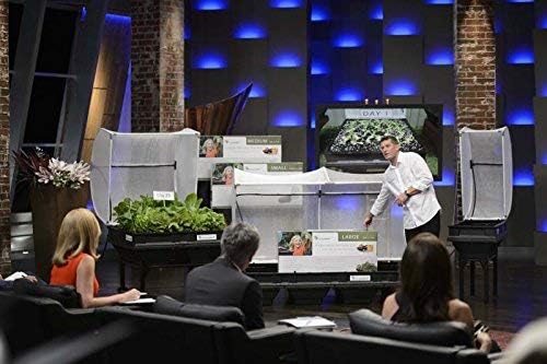 Vegepod - Raised Garden Bed - Self Watering Container Garden Kit with Protective Cover, Easily Elevated to Waist Height, 10 Years Warranty (Small)