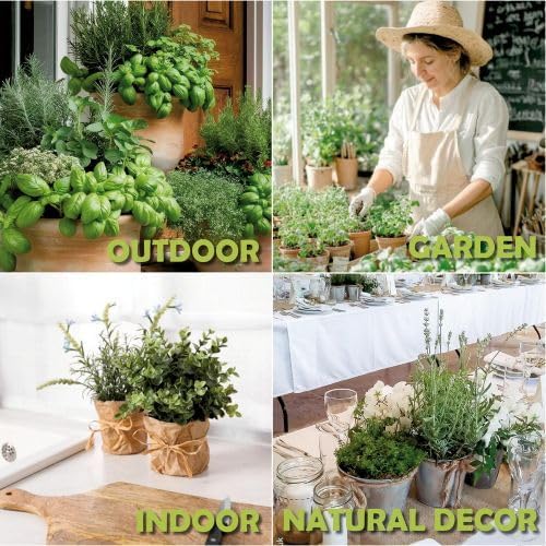 10 Herb Window Garden Kit Indoor - Herb Seeds for Indoor & Outdoor Gardening, Seeds for Planting, Gardening Gift for Kid Mother's Day Women, Complete Herb Growing Kit with Pots, Soil, Basil, Mint