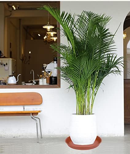 4 Pack Plant Saucer, 13 14 16 18 inch Heavy Duty Plastic Plant Saucer Round, Plant Tray for Pots, Flower Plant Saucers for Indoors, Plant Trays for Planter 12-15" (14 inch, Terracotta)