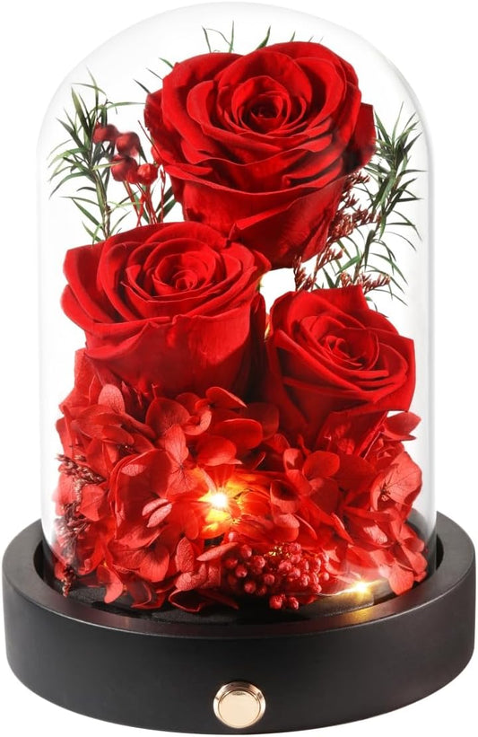 Flowers Forever for Delivery, Preserved Rose in Glass Dome with LED Gifts for Her, Forever Flower for Women on Valentines Day, Mothers Day, Anniverysary, Birthday, Red