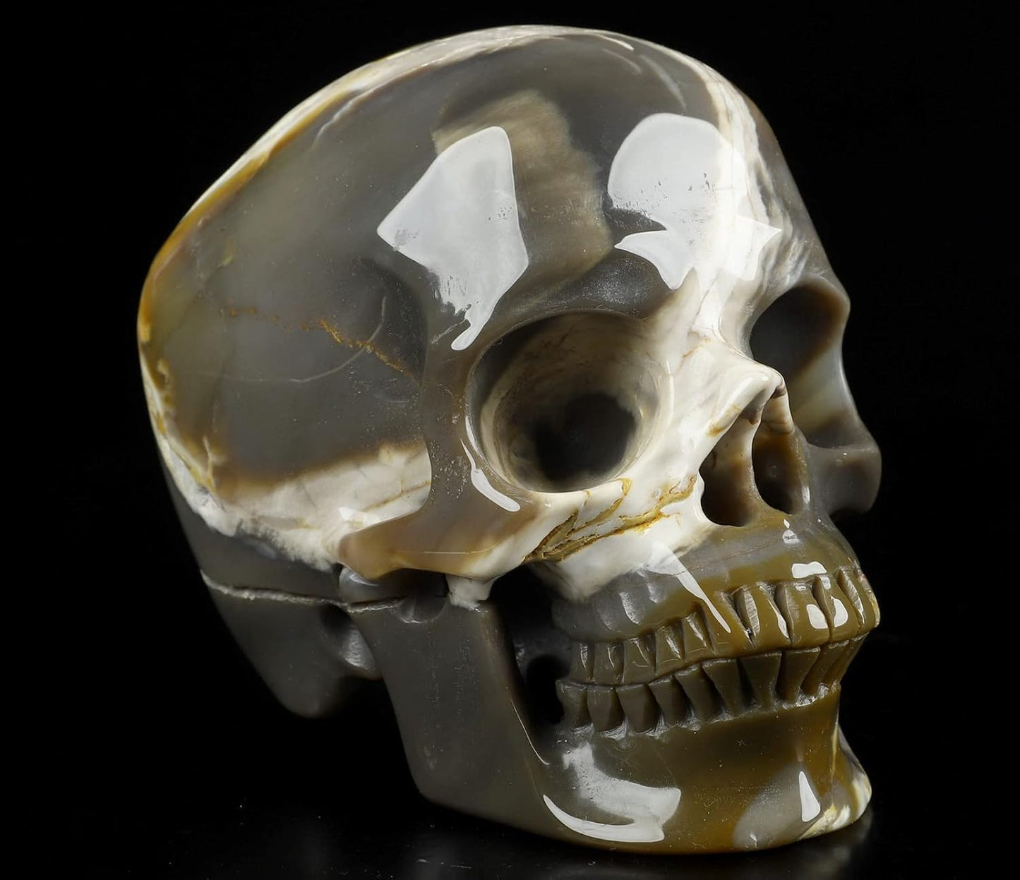 Skullis 5.0" African Petrified Wood Super Realistic Crystal Carved Crystal Skull. Hand Carved Gemstone Fine Art Sculpture.2260 Z8