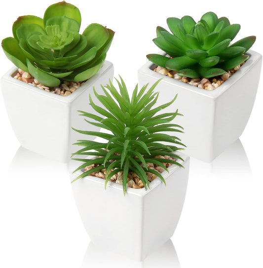 Hollyone Succulents Plants Artificial 3Pcs Small Fake Succulents in Pots Faux Plastic Potted Plants with White Ceramic Pot for Home Decor Classroom Office Bathroom Shelf Indoor & Outdoor Decorations