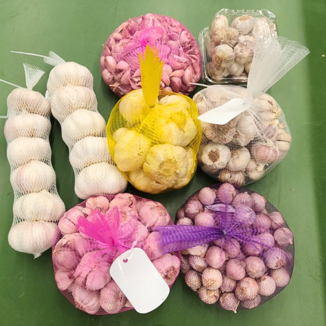 1 Pound Garlic for Planting in Fall Mix Random Softneck Hardneck, 8 Assorted Garlic Bulbs for Planting, Fresh and High Yield Bulb Variety Pack, Hardy and Fast Growing