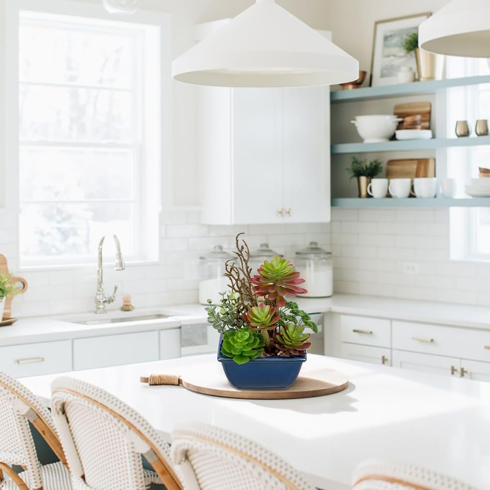 Small Faux Plant Assorted Fake Succulents Plants with Glazed Ceramic Pot Faux Succulents Arrangement Cement Potted Desk Plants Small Fake Plants for Home Table Office Bathroom Shelf Living Room Decor