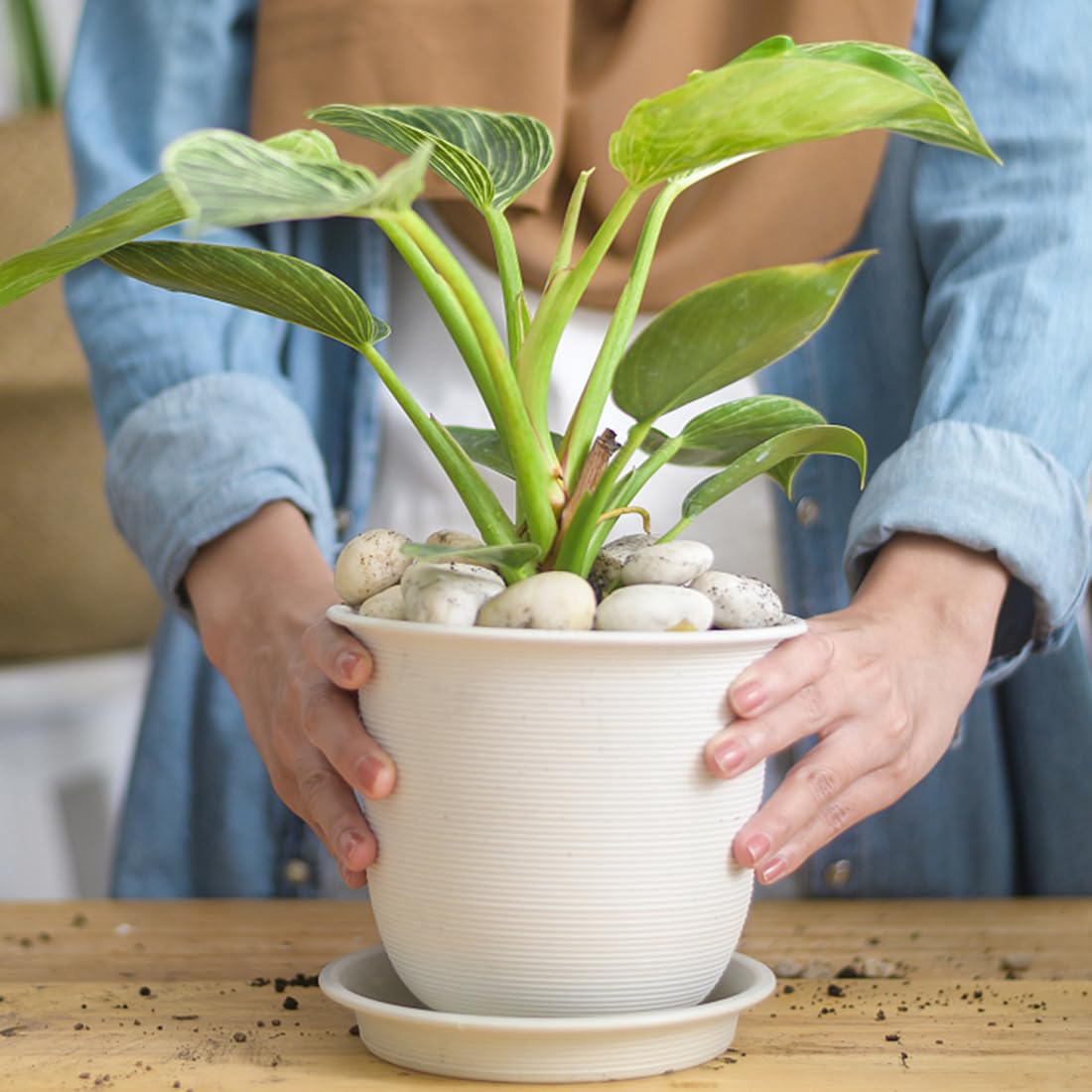 5lbs White River Rocks, 2-3 Inch Natural Pebbles for Indoor Plants, High Polished Decorative Stones Vase Filler Fish Tank Aquariums Landscaping Garden Outdoor and Indoor DIY