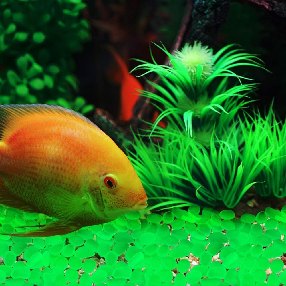 Oubest Glow in The Dark Pebbles/Glow Stones/Glowing Rocks Green Decor for Garden/Fish Tank/Aquarium/Walkway/Driveway/Plant Pots/Bonsai (200, Green)