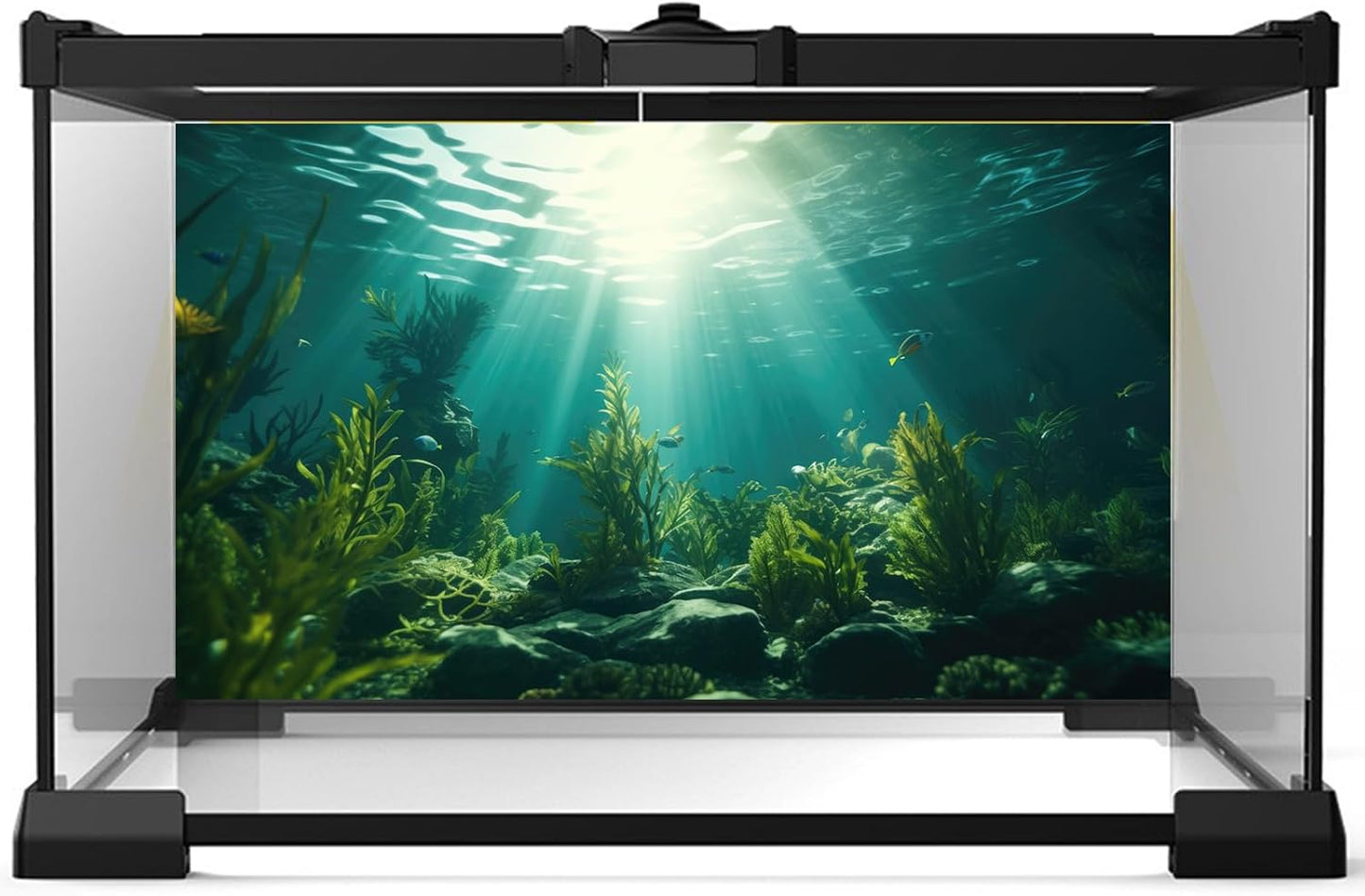 Ocean Aquarium Background Aquatic Plants with Rocks Terrarium Backdrop Sunlight Rays Deep Sea Fish Tank Background Aquarium Wallpaper Poster Decor Vinyl 36x20in