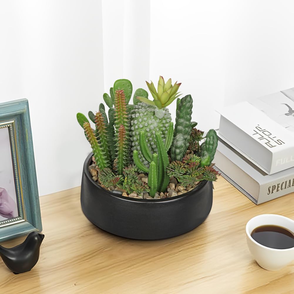DILATATA Artificial Cactus Plants in Pot 5.5 Inch Fake Succulents Arrangement Potted Plant in Black Ceramic Planter Bowl for Home Office Desk Shelf Living Room Bedroom Bathroom Decor