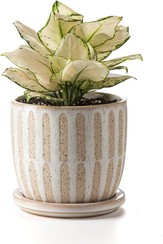 Ceramic Flower Pots Indoor-Outdoor: 5.75 Inch Planters with Drainage Holes & Saucer - Modern Decorative Plant Pots Ceramic for Home Gardeners (Striped)