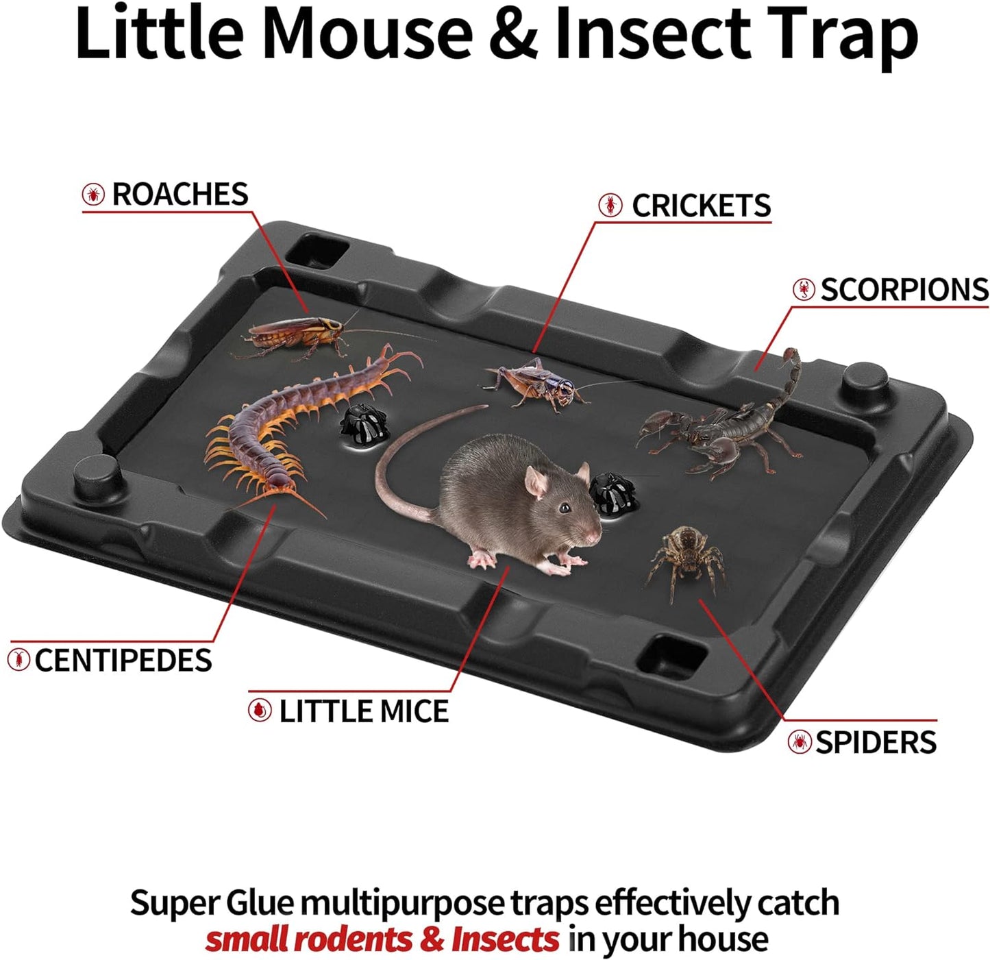 LULUCATCH Mouse & Insect Traps 12 Pack, Heavier Sticky Traps with Non-Toxic Glue for Small Mice & Insects. Sticky Mouse Traps Indoor, Easy to Set, Pet Safe Pest Control