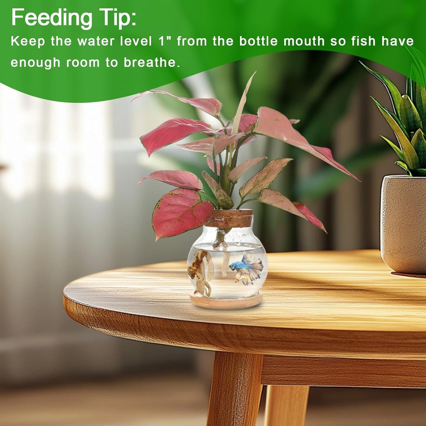 Plant Propagation Station,Hydroponic Glass Container Vase Jars, with Wooden Saucer for Desks, Houses, Garden Decorations, Home Kitchen Decorations and Gifts for Plant Lovers (6)