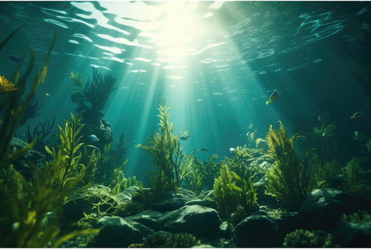 Ocean Aquarium Background Aquatic Plants with Rocks Terrarium Backdrop Sunlight Rays Deep Sea Fish Tank Background Aquarium Wallpaper Poster Decor Vinyl 72x24in