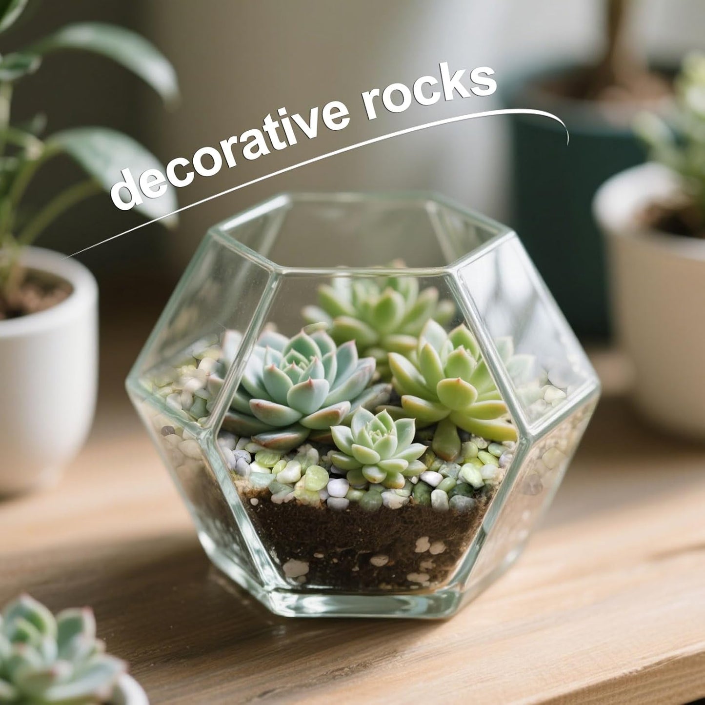 Calofulston 2.5lb Small Pebbles for Indoor Plants, 3/8 Inch Decorative Rocks for Lucky Bamboo Plants Pot, Succulent, Vase, Cactus, Landscaping, Polished Jade Rocks for Plants Indoor, Green