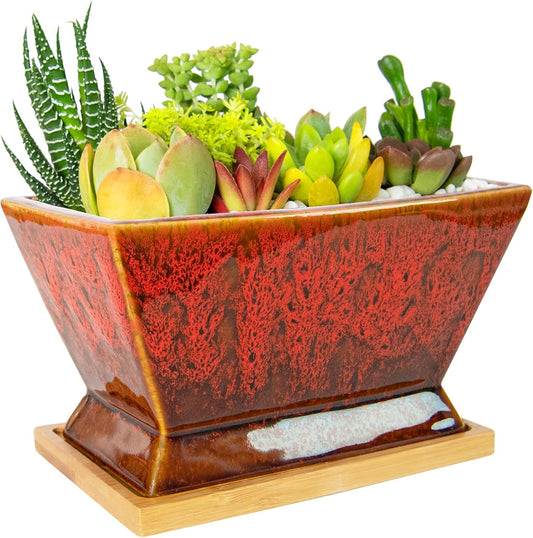 ARTKETTY Succulent Pots - 7 Inch Large Plant Pot with Drainage Tray, Shallow Ceramic Pots for Indoor Plants, Modern Cactus Bonsai Plant Container Decorative Home Office