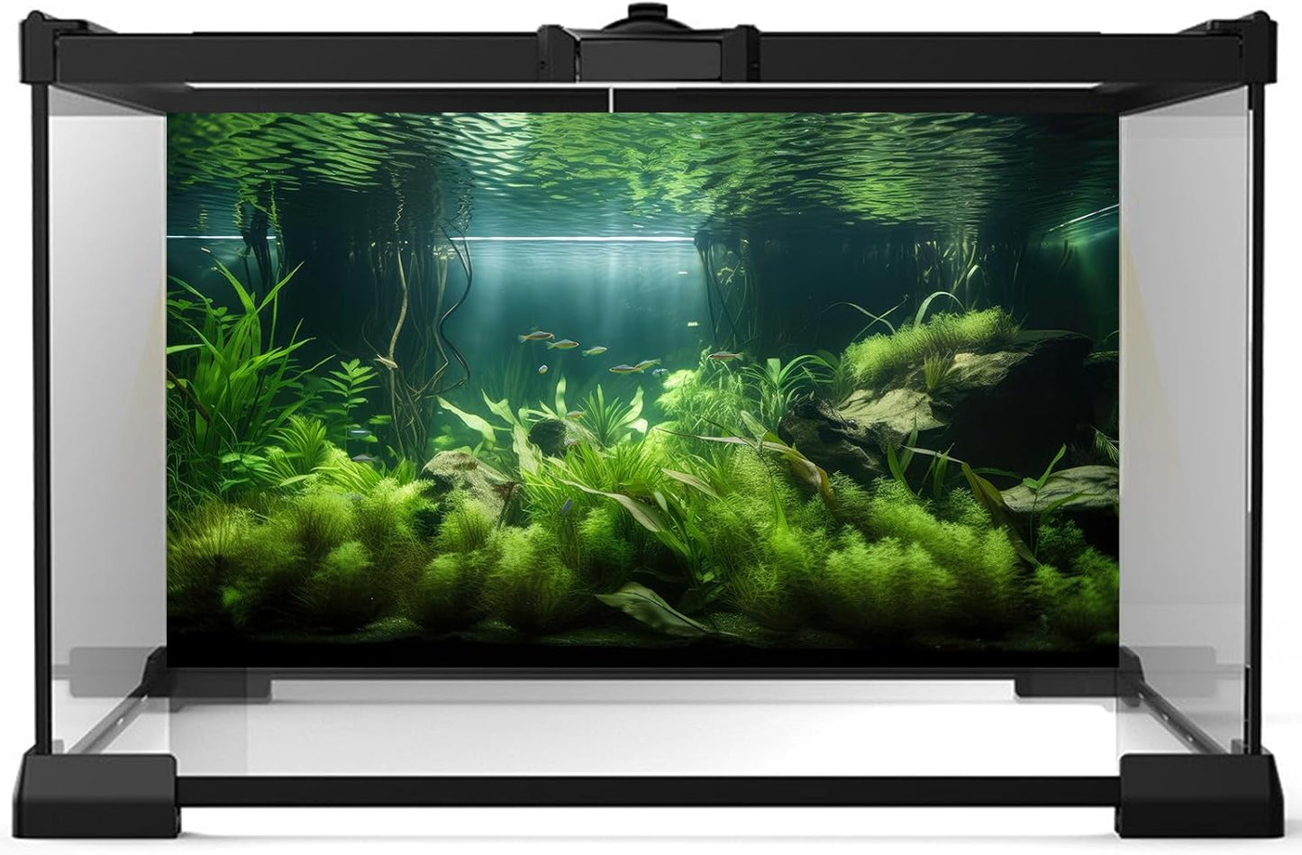 Aquarium Background Lush Green Aquatic Plants and Seagrasses Terrarium Background Under The Sea View With Rock Sands Fish Tank Background Amazing Aquarium Backdrop Background Poster Vinyl 24x12in