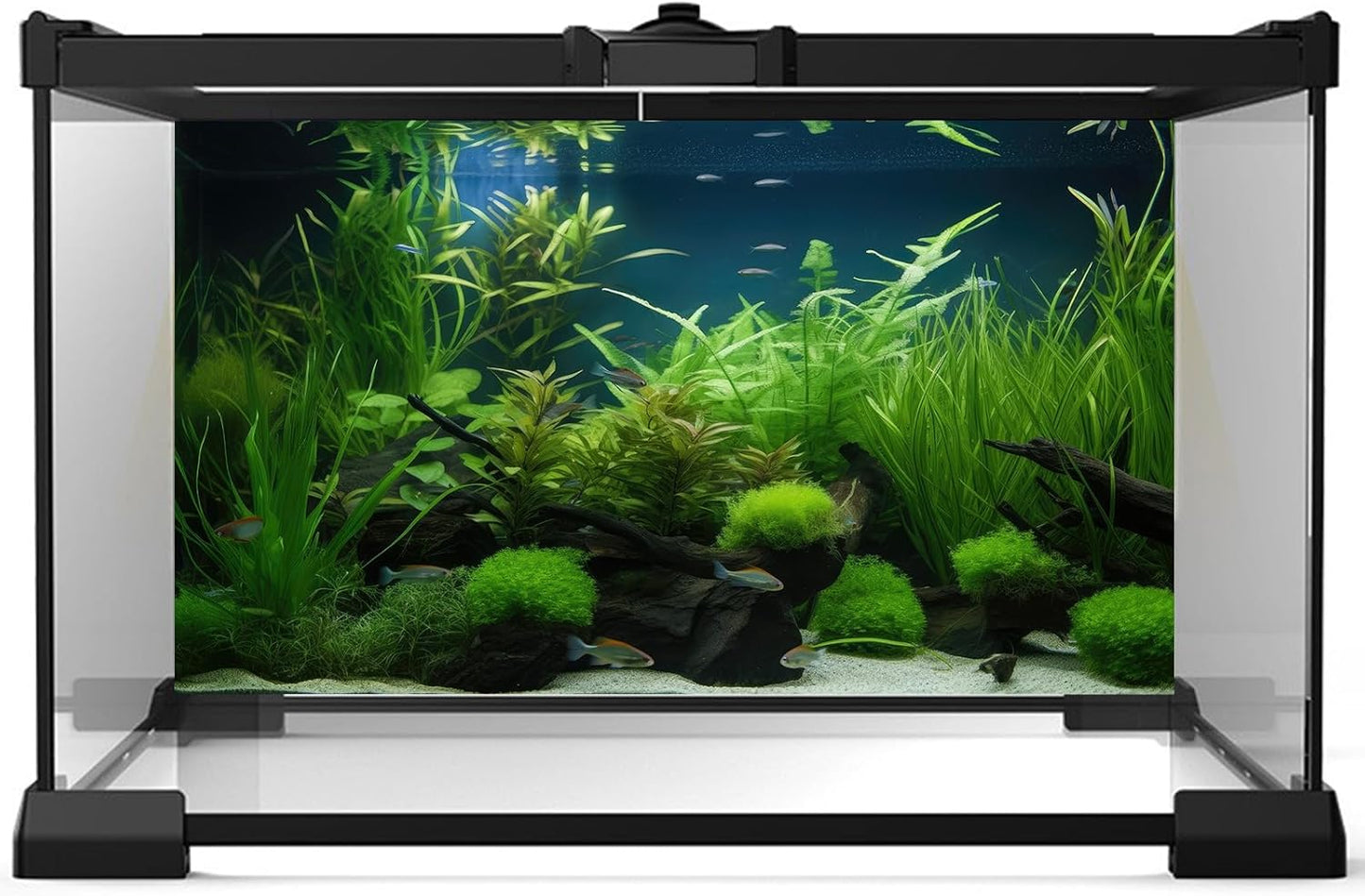 Aquarium Background Diverse Collection of Aquatic Plants Seagrasses Terrarium Background Redwood Root Moss Tropical Style Underwater Plants Fish Tank Background Under The Sea Aquarium Backdrop 72x24in