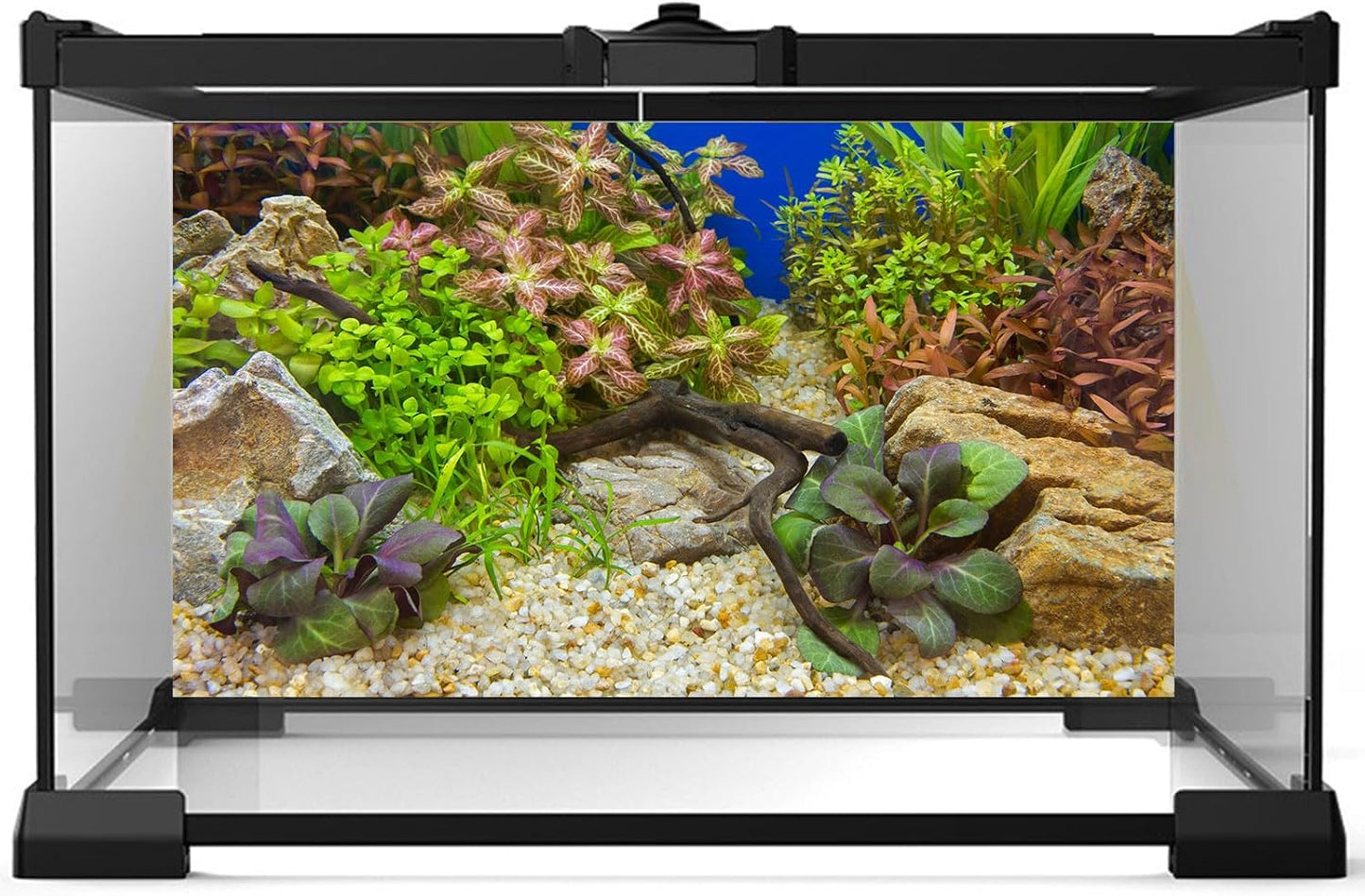 Aquarium Background Various Underwater Grass Plants Pebble Fish Tank Background Vivid Green Aquatic Plants Terrarium Background Stone River Bed Dead Wood Purple Leaves Tank Background 36x18in