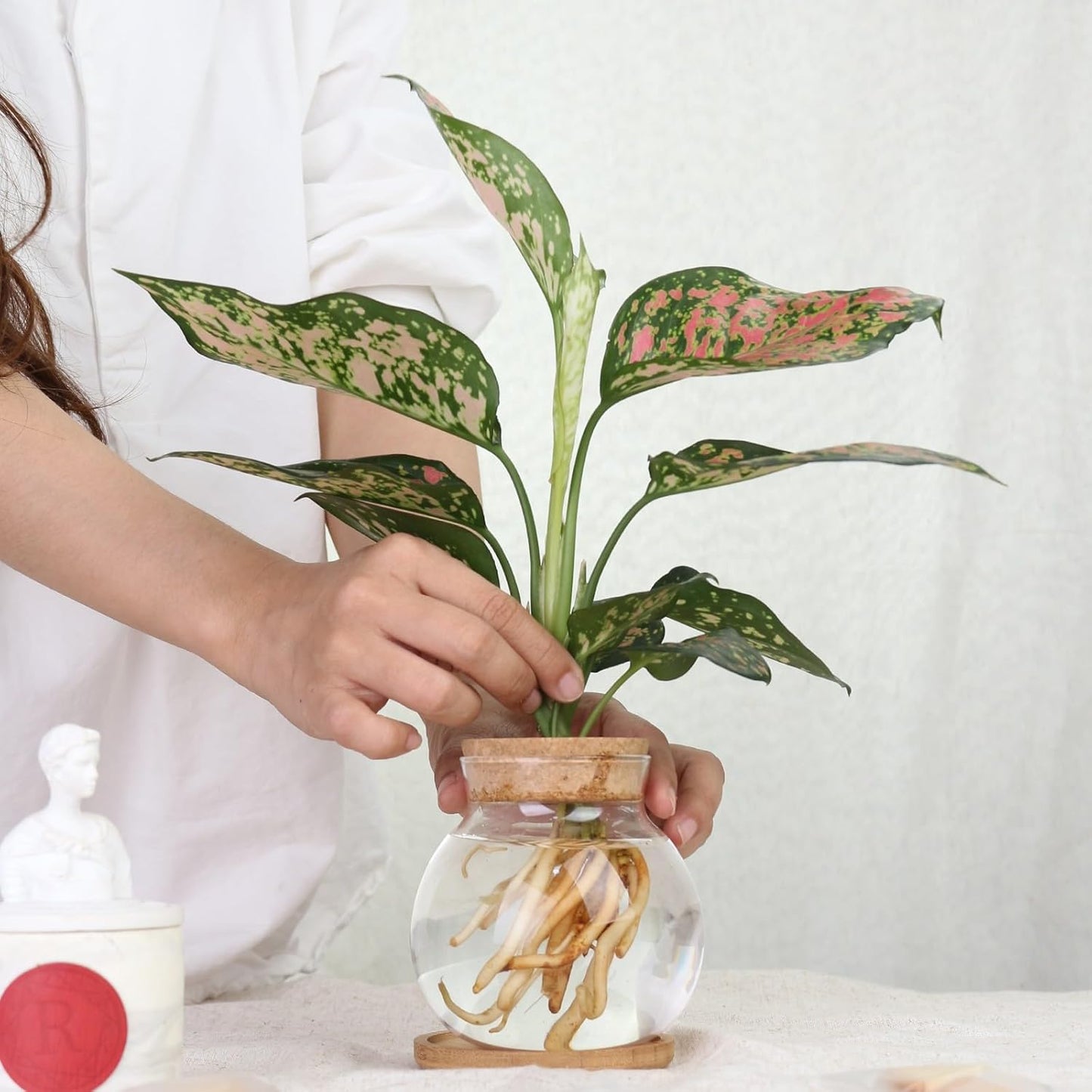 Plant Propagation Station,Hydroponic Glass Container Vase Jars, with Wooden Saucer for Desks, Houses, Garden Decorations, Home Kitchen Decorations and Gifts for Plant Lovers (6)