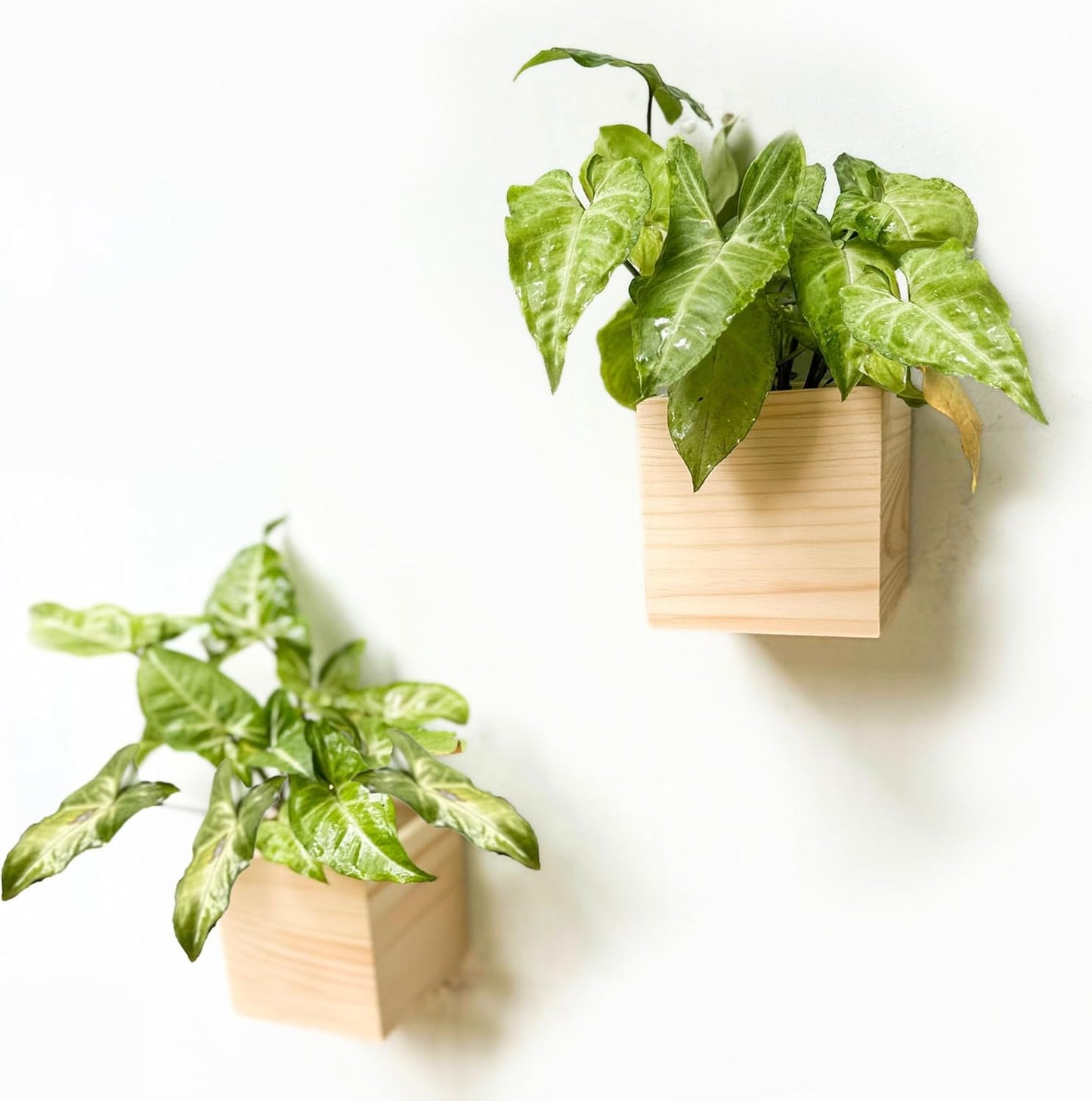 LaLaGreen Wooden Planter Box for Plants (4x4 Inch, 2 Pack) Small Square Wall Planters for Indoor Plant, Natural Wood Hanging Flower Pot Boxes Table Centerpiece Herb Balcony Home Garden Office Decor