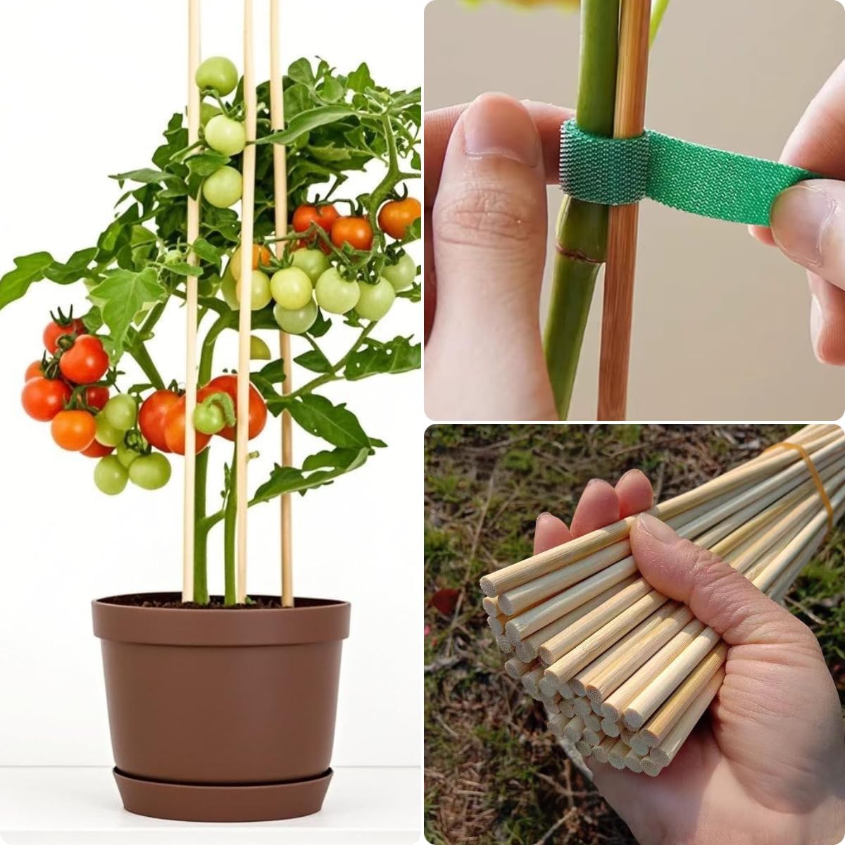 100 PCS 2FT (24 Inch) Bamboo Plant Stakes – Natural Bamboo Sticks for Indoor & Outdoor Plants – Garden Stakes & Plant Support Stakes for Tomato, Beans, Climbing Plants & More – VESYMAN