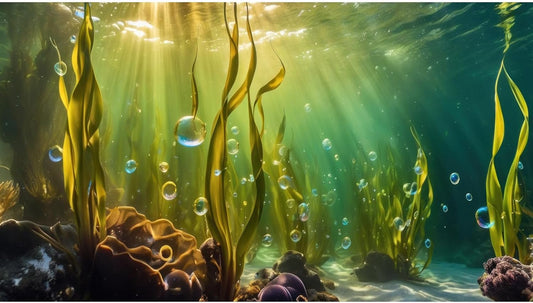 Aquarium Background Underwater Beautiful Coral Reef with Seaweed Bubbles Terrarium Backdrop Aquatic Plants Sunlight Rays Fish Tank Background Tank Aquarium Wallpaper Poster Decor Vinyl 48x20in