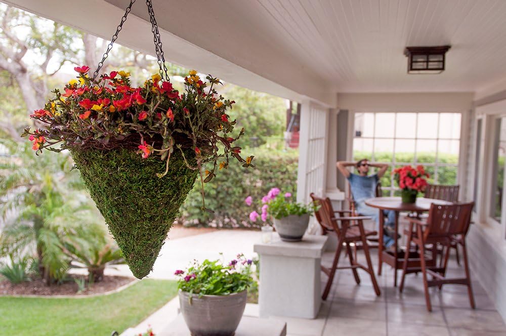 SuperMoss (29386 MossWeave Hanging Basket | Outdoor Hanging Planter with Moss | Decorative Plant Hanger for Porch, Balcony, Garden & Home Décor, Cone with Wicker Rim, Set of 2 (S/M), Green