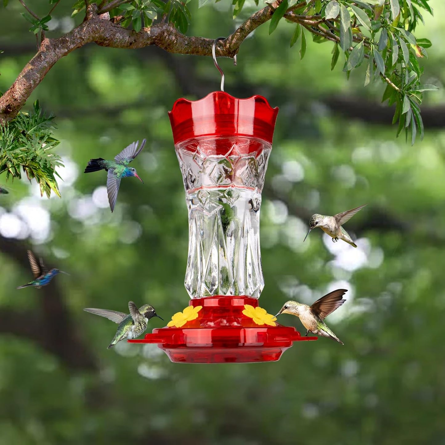 Hummingbird Feeders for Outdoors Hanging, BOLITE Glass Hummingbird Feeder, 4 Bee Guard Feeding Ports, Built-in Ant Moat, Leak Proof, 15 Ounces, Stars Decor, Red, 2 Pack, Gifts for Women Men