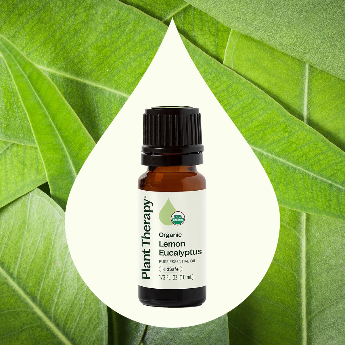 Plant Therapy Organic Lemon Eucalyptus Essential Oil 100% Pure, USDA Certified Organic, Undiluted, Natural Aromatherapy, Therapeutic Grade 10 mL (1/3 oz)
