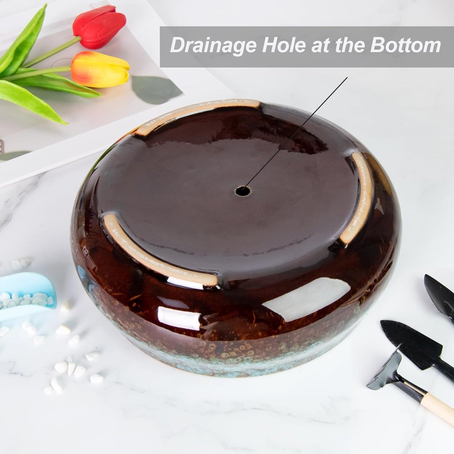 ARTKETTY Succulent Pots - 8 Inch Plant Pot, Large Bonsai Pots with Drainage, Ceramic Planters for Indoor Outdoor Plants, Round Shallow Cactus Flower Plant Container Bowl Decorative Home Garden