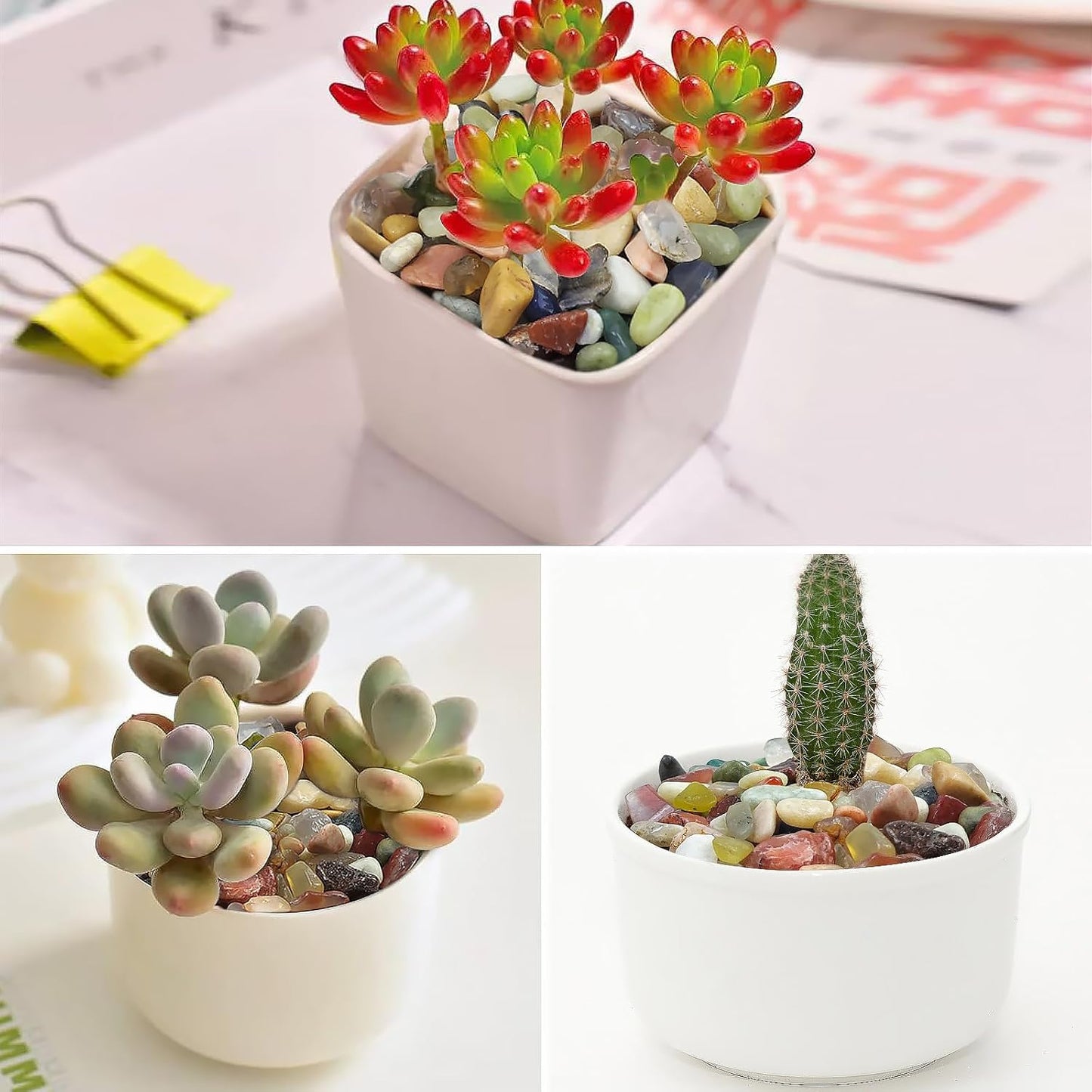 10LB Colorful Pebbles for Succulent, 3/8 Inch Natural River Rocks for Plants, Natural Decorative Polished Pebbles for Cactus,Vases, Planters,Outdoor Gardening and Indoor Plants