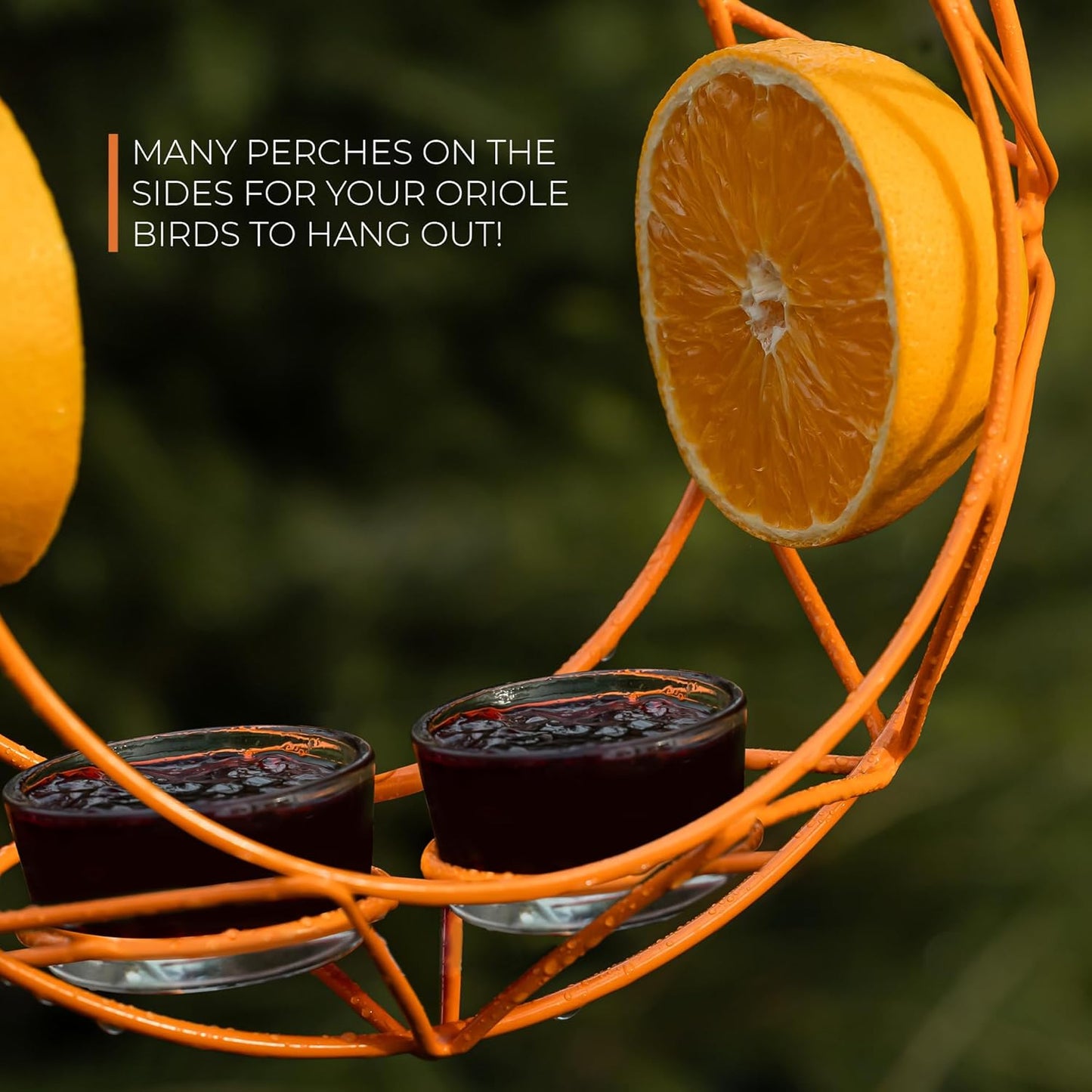 MEKKAPRO Sun Baltimore Oriole Feeder for Outdoors, Jelly and Orange Metal Bird Feeder, Unique Sun Design and Bright Color, Open Top Hook, UV-Resistant Powder-Coated Steel (2 Cups)