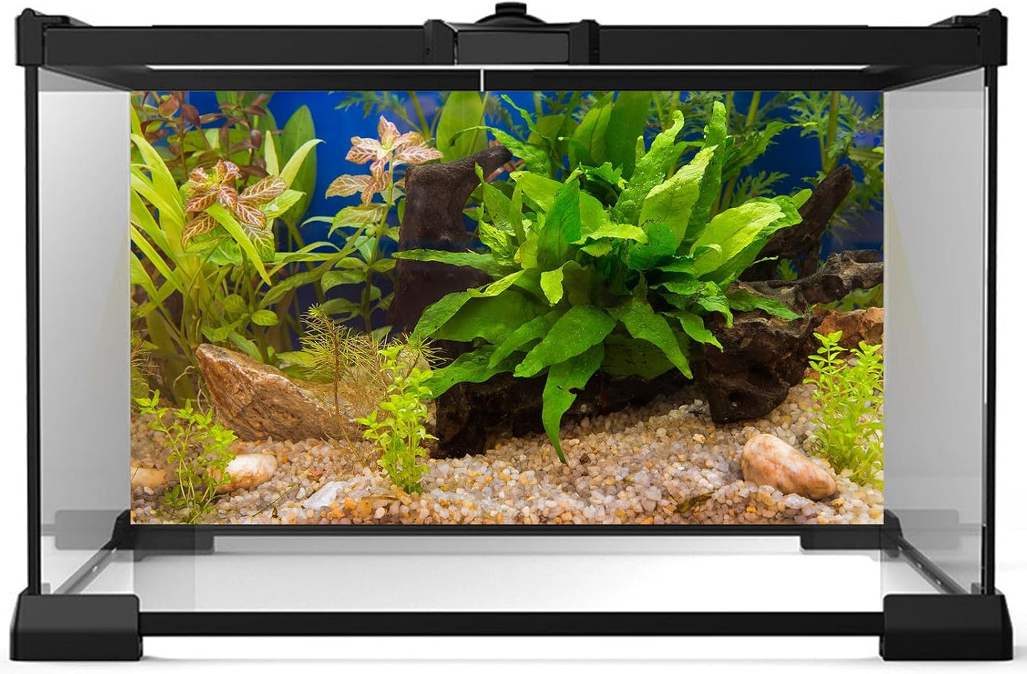 Aquarium Backdrop Underwater Grass Leaves Pebble Aquarium Background Vivid and Fresh Green Aquatic Plant Stone River Bed Fish Dead Wood Leaves Tank Background Decors Vinyl 36x24in
