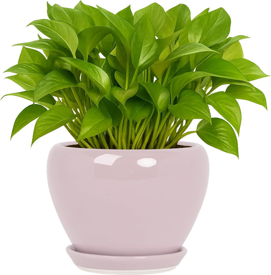 Deep Dream 6 Inch Plant Pots- Ceramic Planter Pot with Drainage Hole and Saucer, Round Flower Pot for Indoor Outdoor Succulent, Snake Plants and Cactus, Pink