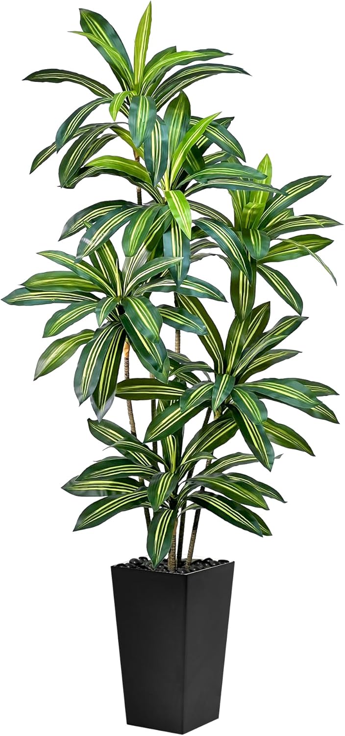 Artificial Dracaena Tree 6FT Tall Fake Plant with White Pot - Realistic Faux Dragon Tree with Tall Planter - Indoor Floor Plant for Home, Office,Mall, Living Room, Bedroom Decor (Black - Planter, 6ft)