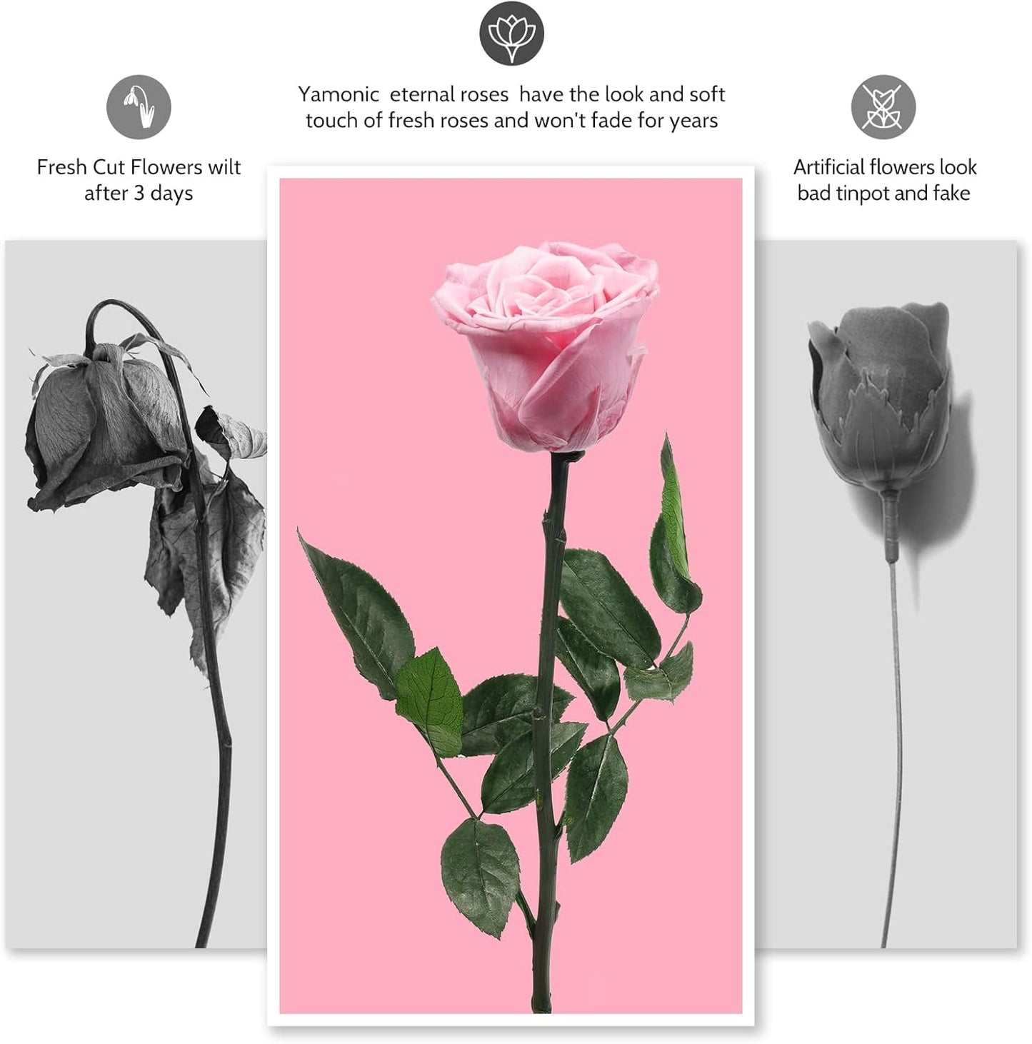 Yamonic Preserved Flowers Rose Gifts for Women Mom, Mothers Day Rose Flowers Gifts for Mom, Real Flower Birthday Mom Gifts for Grandma, Wife,Girlfriend, for Valentine's Day,Anniversary